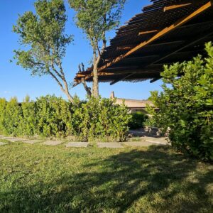 una pergola in legno con vicini alberi e cespugli di siepe
