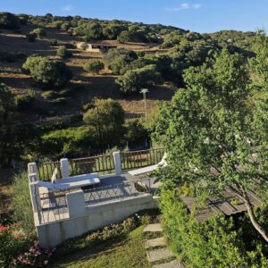 alberi e vegetazione con sullo sfondo uno stazzo confinante con la tenuta Multaiola