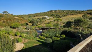 una collina ricoperta da vegetazione di vari tipi, con alberi da frutto e piante di macchia mediterranea