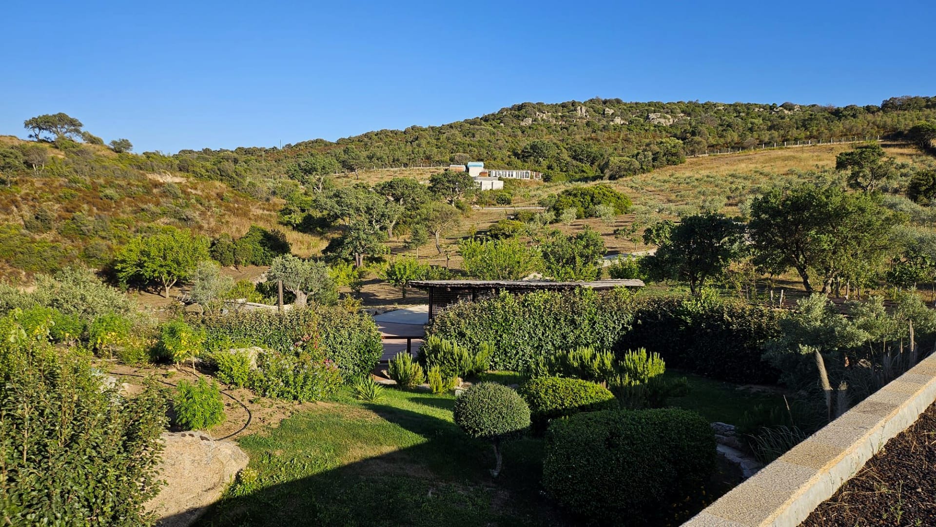 una collina ricoperta da vegetazione di vari tipi, con alberi da frutto e piante di macchia mediterranea
